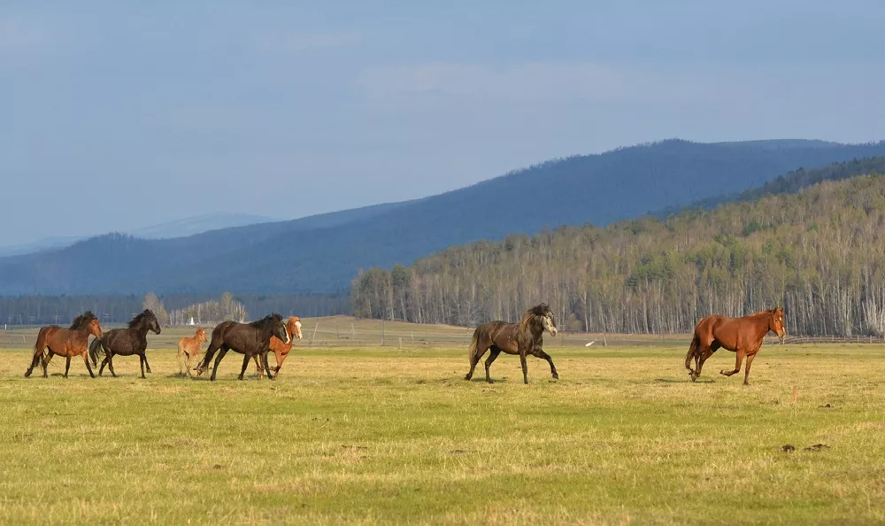 фото статьи